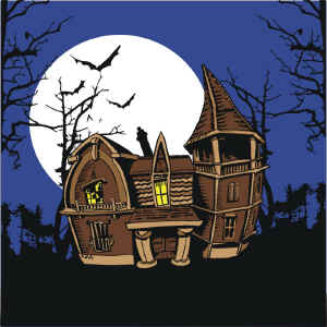 (image for) Haunted House - Set of 4 Silks
